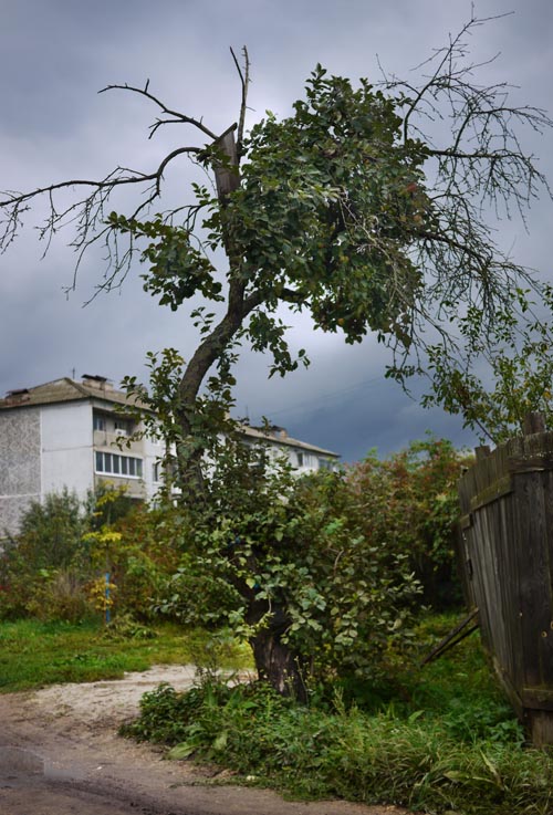 Симметричный классический интерьер с арками и колоннами