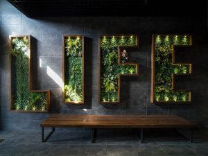 Фасад лофт-здания на Оптическом проезде в промзоне Красногорска