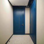 Дизайн входной группы в ЖК Level Причальный: высокие двери глубокого синего цвета с латунными вставками и фурнитурой.