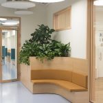 Радиусная деревянная скамья с озеленением в интерьере Letovo Junior. Архитектурная съемка Кирилл Толль. Раменки, Москва, современная школьная мебель