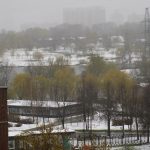 Вид из окна на Пенягинский пруд и ландшафтный парк Митино Барышиха 6 — фото Кирилла Толль