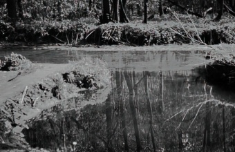 красный светофильтр