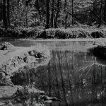 красный светофильтр