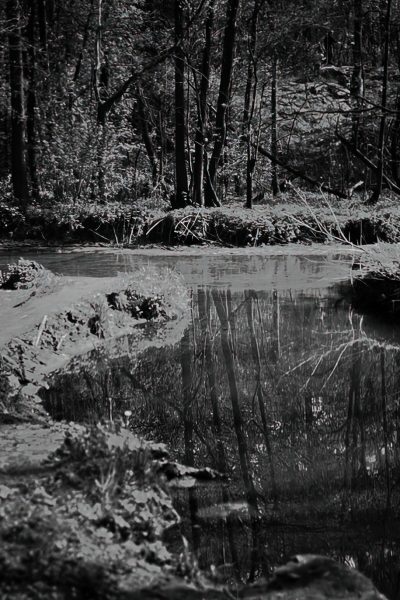 красный светофильтр