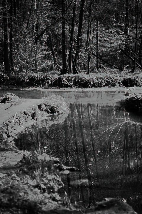 красный светофильтр