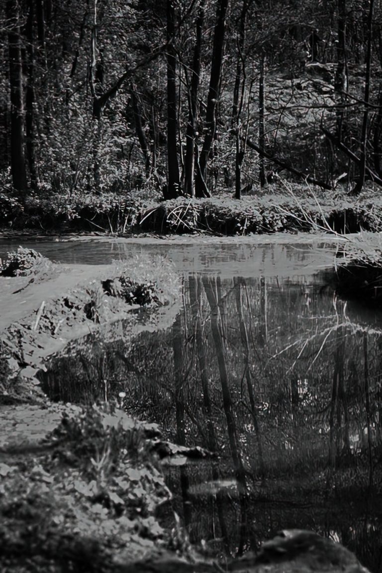 красный светофильтр