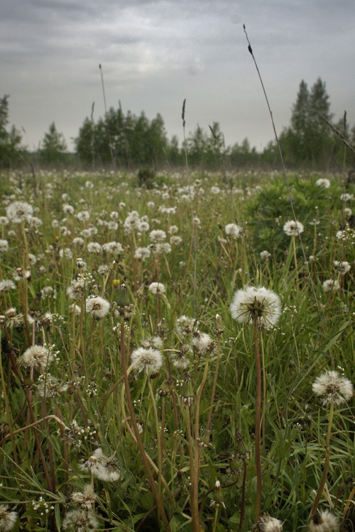 Уютный интерьер деревянного дома с горящим камином